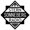 STERN-Sonneberg-Logo-fertig.svg